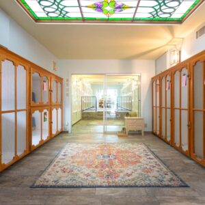 Cat-Boarding-Gallery-2