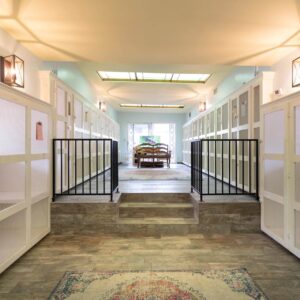 Cat-Boarding-Gallery-3